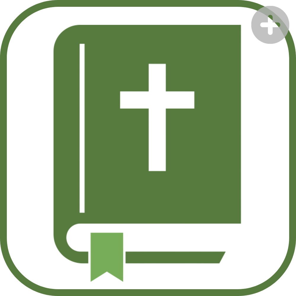 Bible icon representing VBS programs in Ukraine