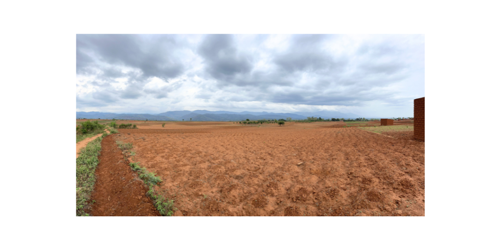 farm field in Burundi